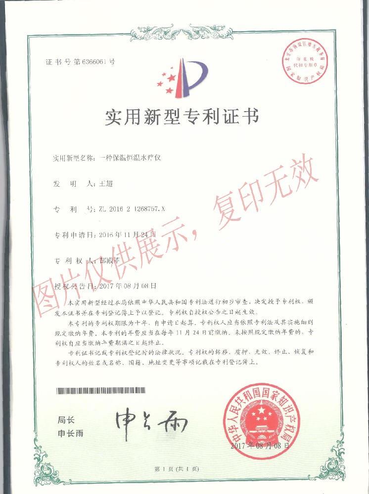 專利證書(shū)（十）